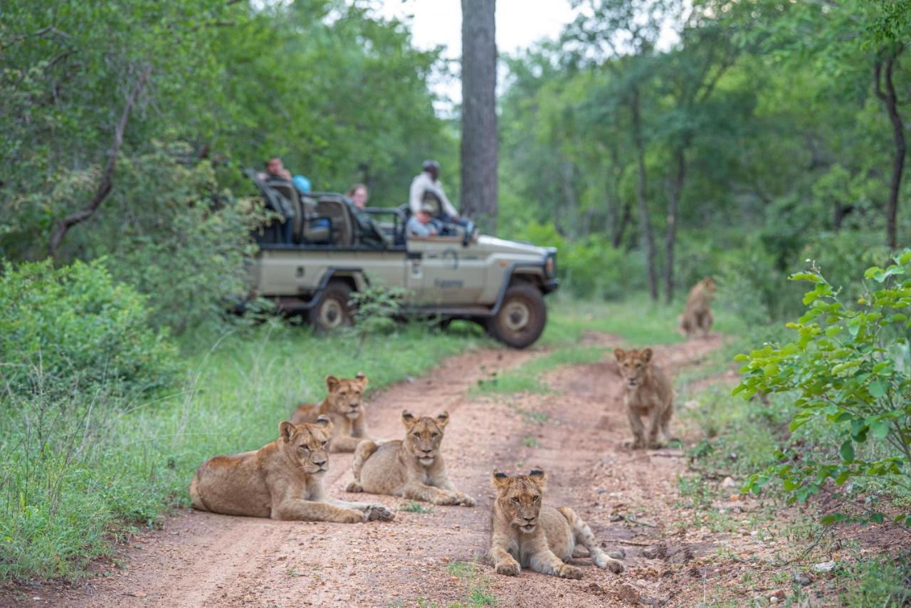 Kapama Buffalo Camp Kapama Game Reserve Екстер'єр фото