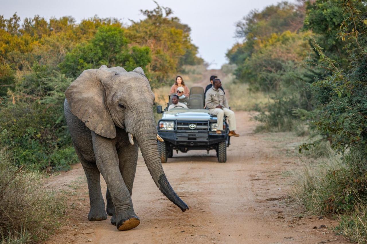 Kapama Buffalo Camp Kapama Game Reserve Екстер'єр фото